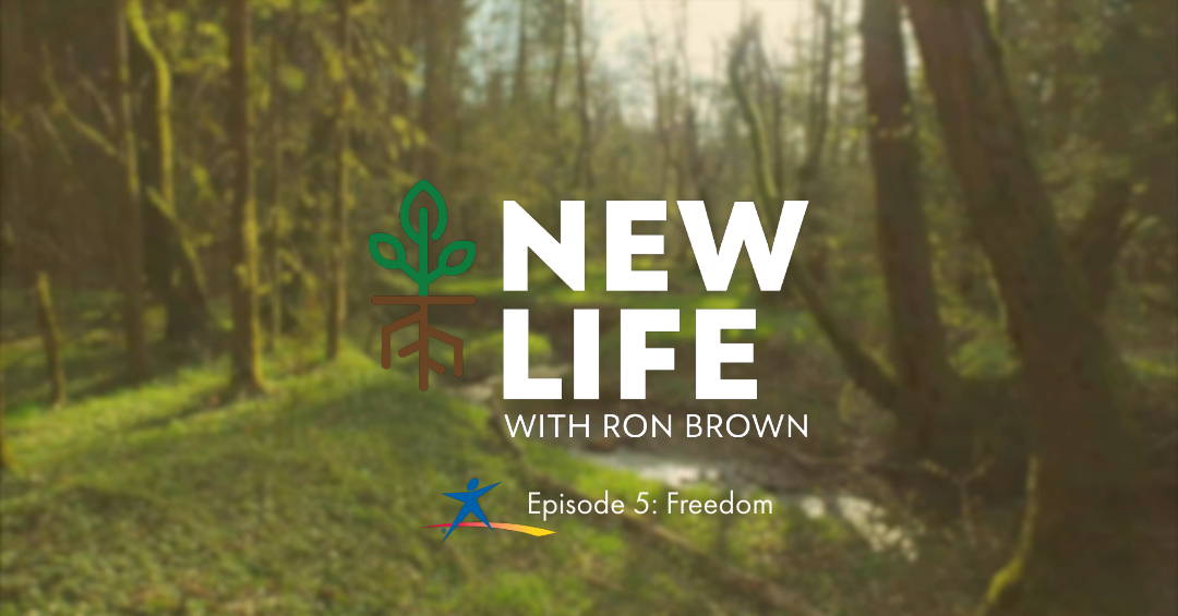 New life episode 5 thumbnail