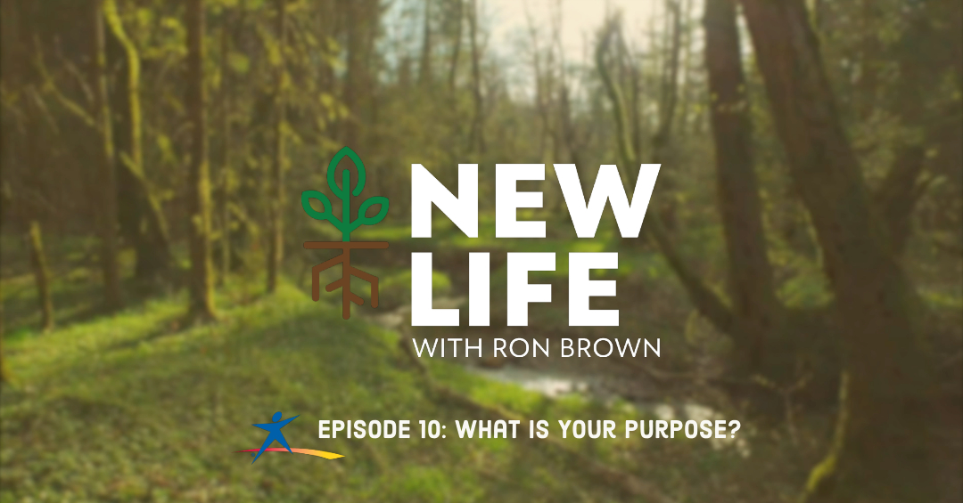 New Life 10