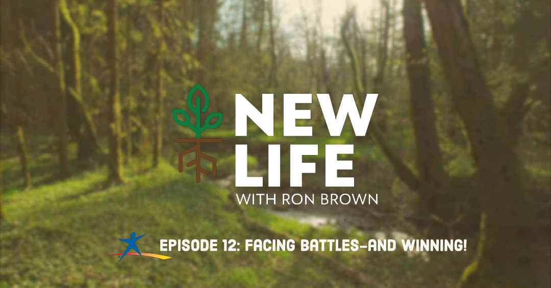 New Life 12