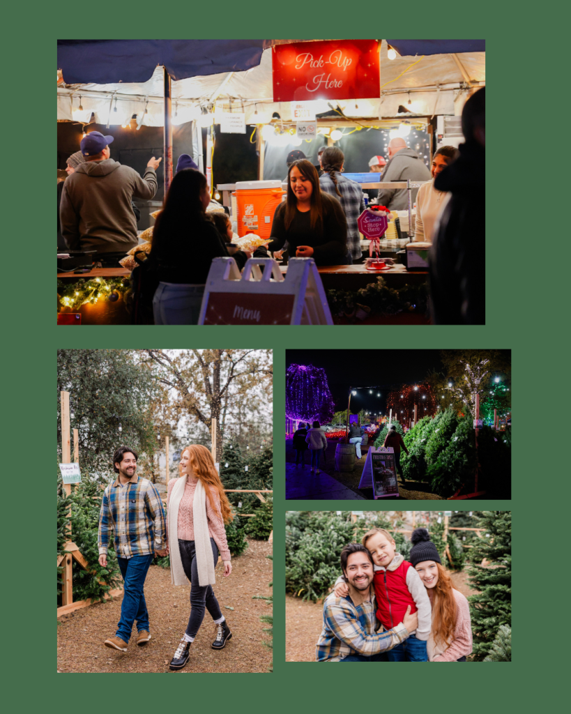 Family and other people enjoying trees and lights