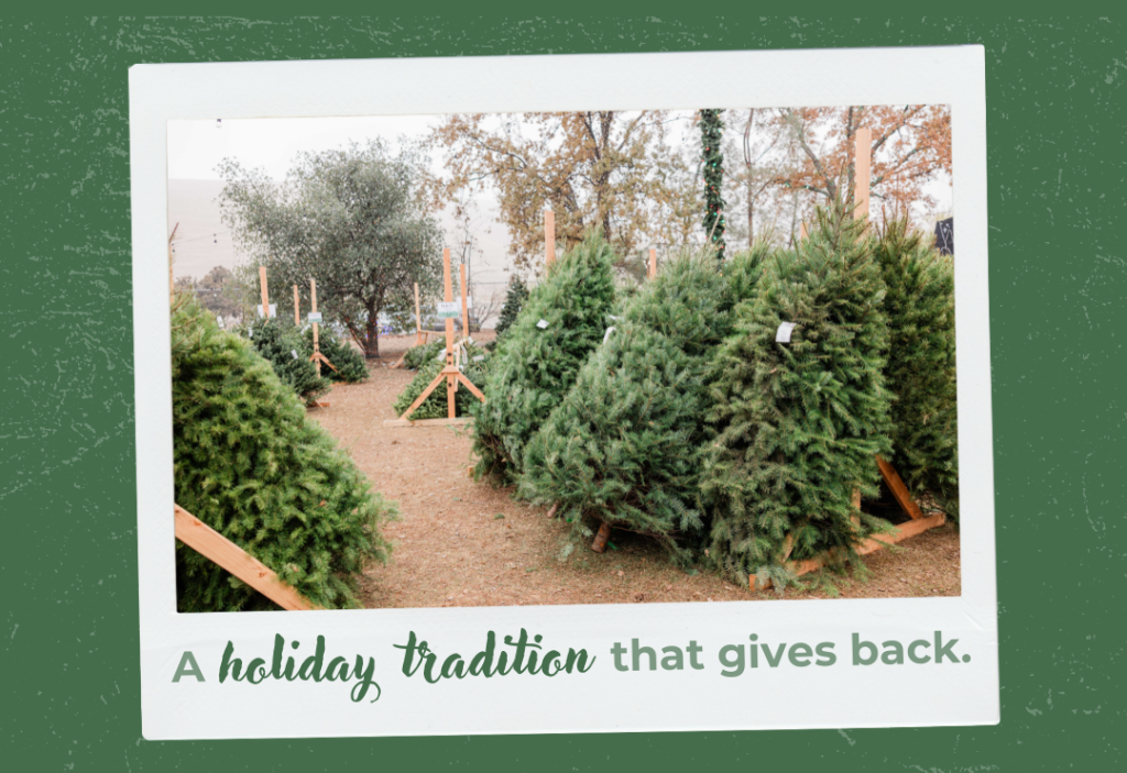 A Holiday Tradition that gives back. Trees